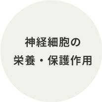 神経細胞の栄養・保護作用